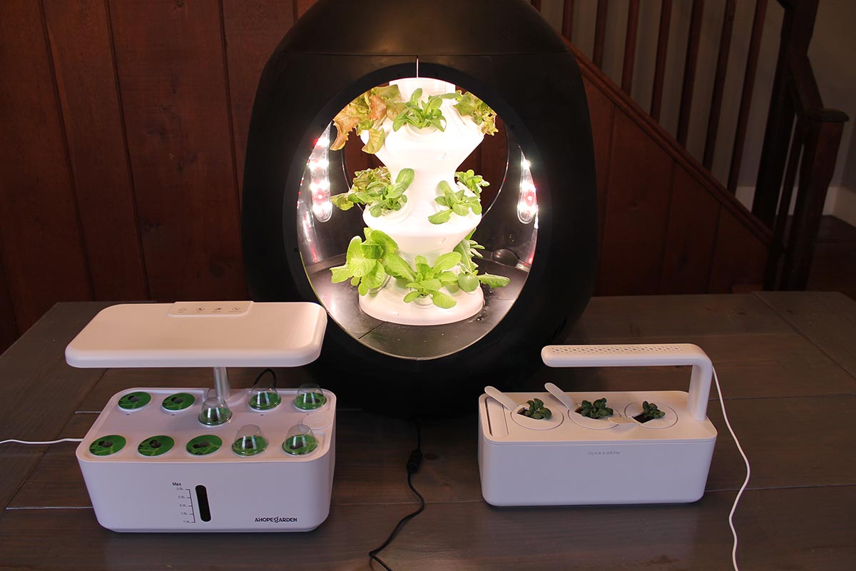 The Best Hydroponic System 2