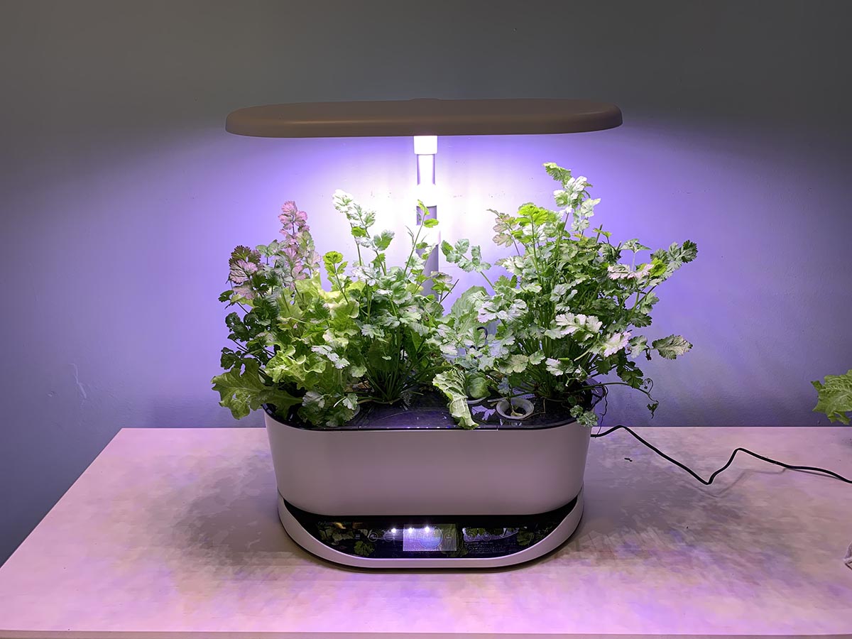 The Best Hydroponic System Aerogarden 1