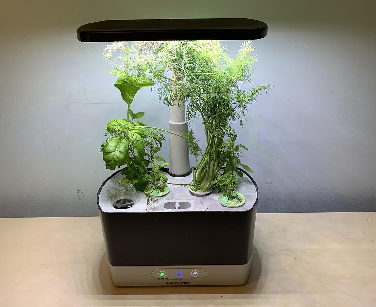 The Best Hydroponic System Aerogarden Harvest 2