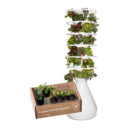  The Best Hydroponic System Option Lettuce Grow Farmstand Hydroponic System