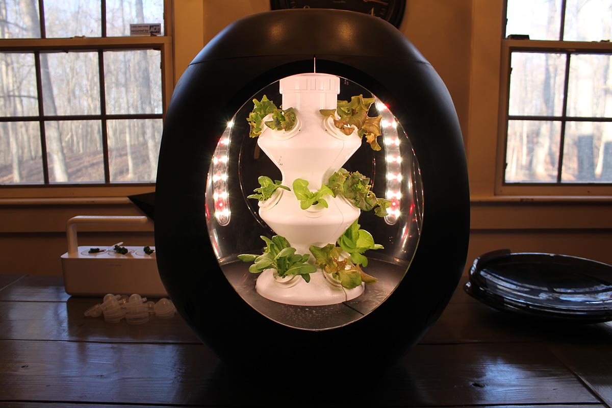 The Best Hydroponic System Plantaform Rejuvenate with Lids Off