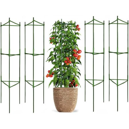  Derlights Tomato Cages and a tomato plant in the middle