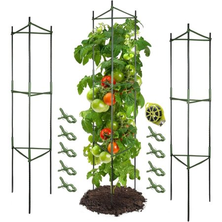  Growneer Tomato Cages with one tomato plant growing