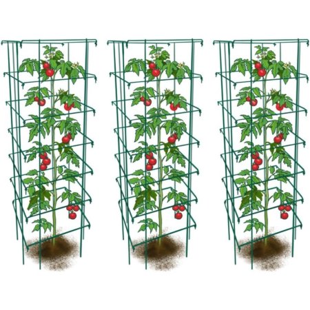  Three Happy Trees Large Heavy-Duty Tomato Cages with plants growing