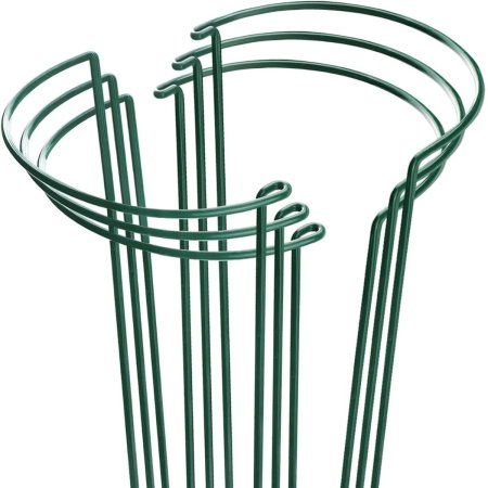  Three HiGift Plant Support Stakes