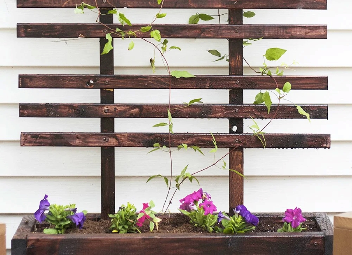 Garden wooden trellis.