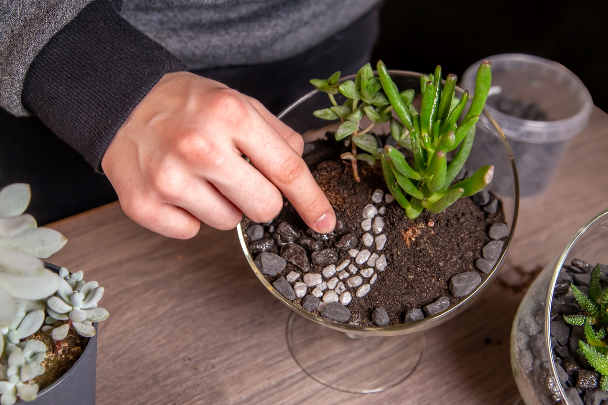 Person decorating terrarium with stones.