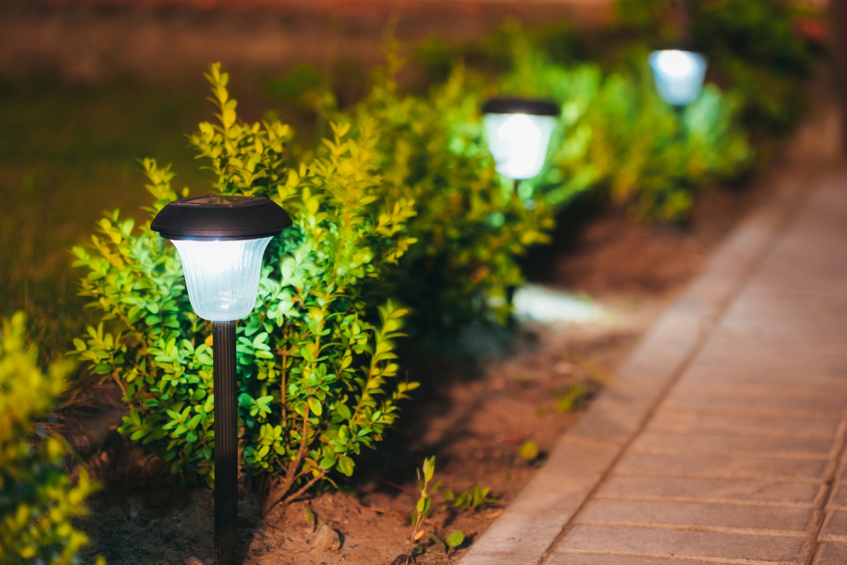 Solar lights in garden edge.