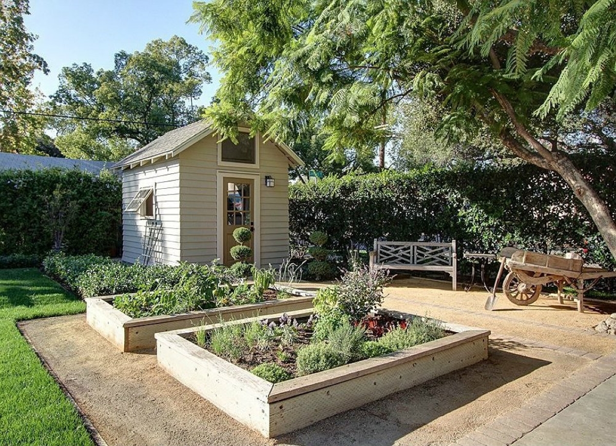 Backyard garden and shed.