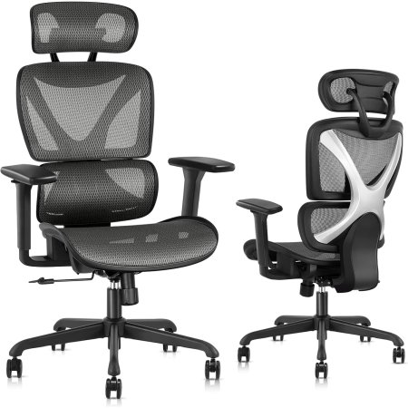  The Gabrylly Ergonomic Office Chair on a white background.