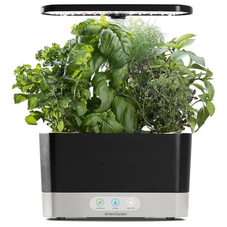  Best Gifts for Plant Lovers Option AeroGarden Harvest