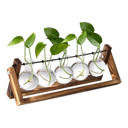  Best Gifts for Plant Lovers Option Nicunom Propagation Stations Glass Planter Bulbs