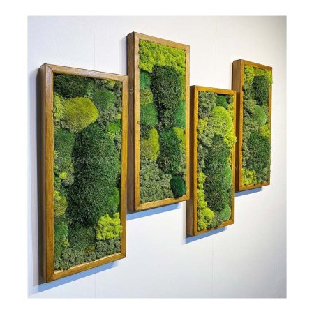  Best Gifts for Plant Lovers Option Preserved Framed Moss Wall Art