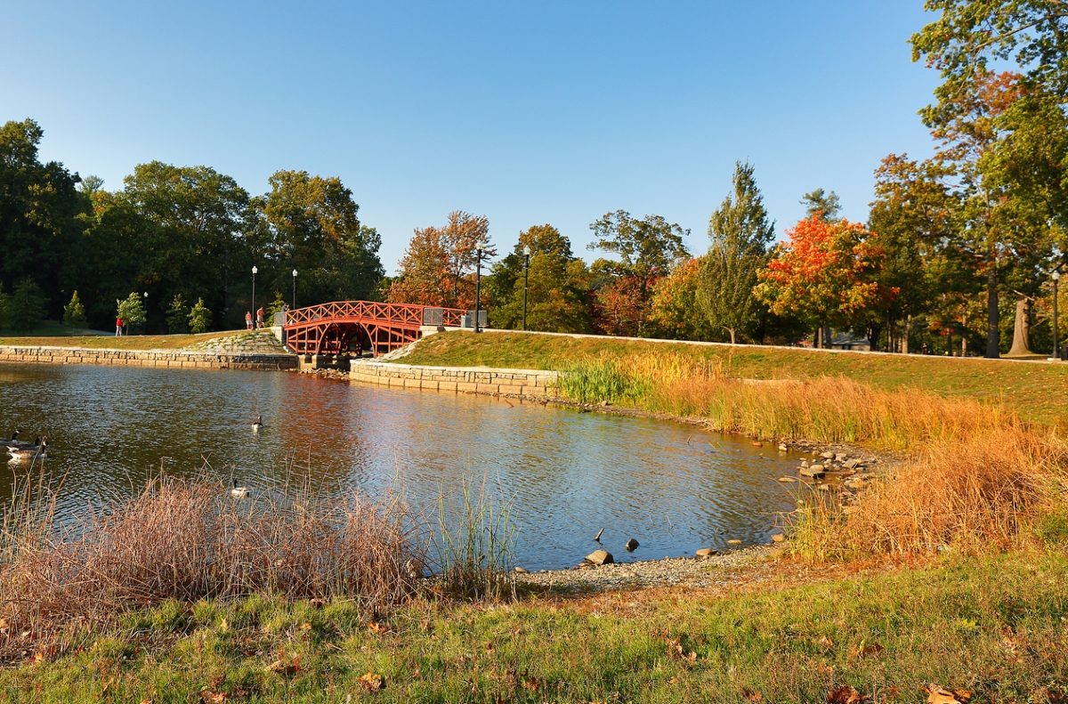 Red bridge near lake and grassy park.