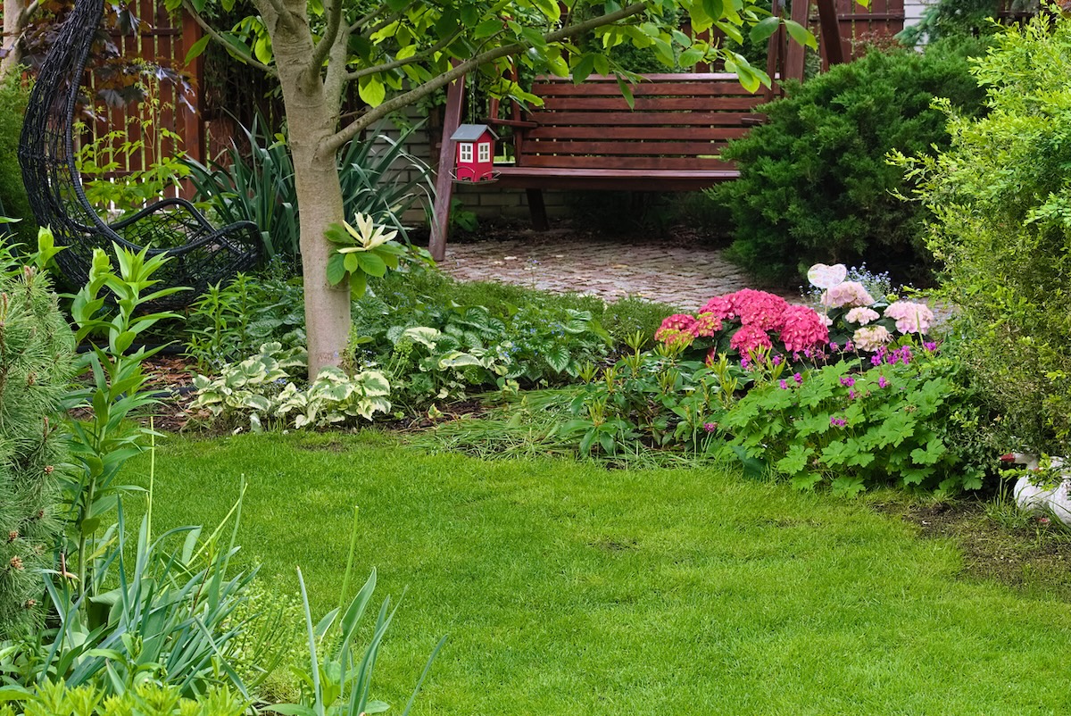 The 12 Best Perennials for Shady Spots in Your Yard