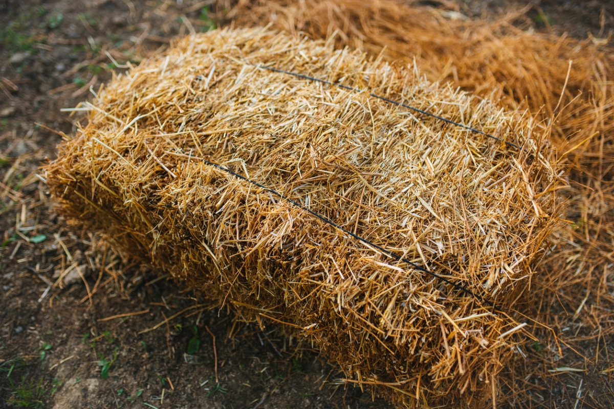 Straw bale.