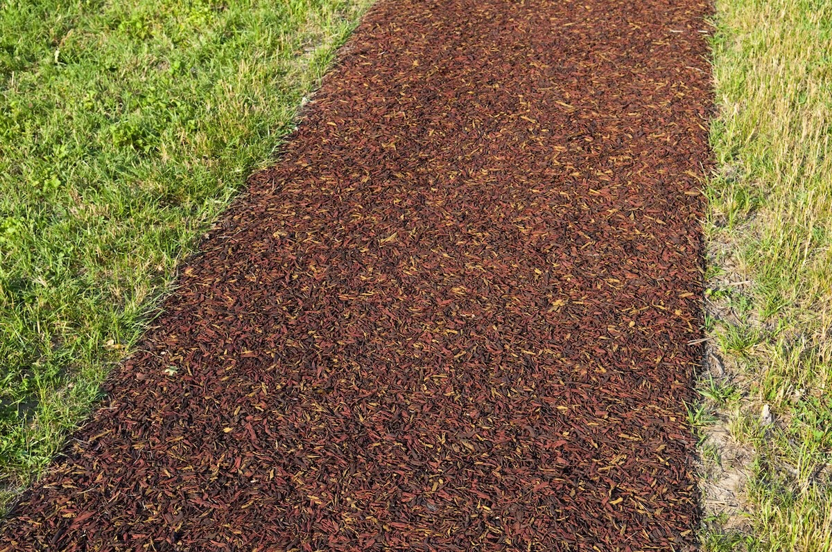 Recycled tire rubber mulch walking path in a residential lawn.