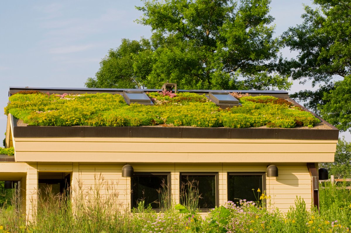 Photo of Lebanon Hills Visitor Center rental building in Eagan Minnesota with gardens and green roof in bloom.