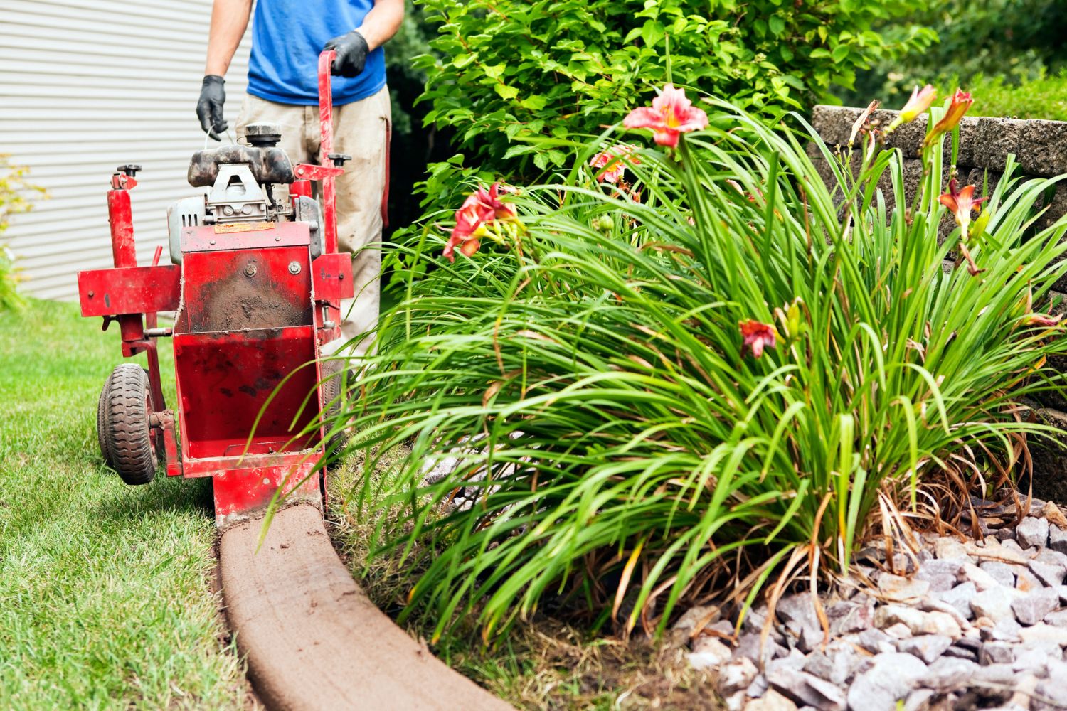 A landscaper at work with plants in the foreground.