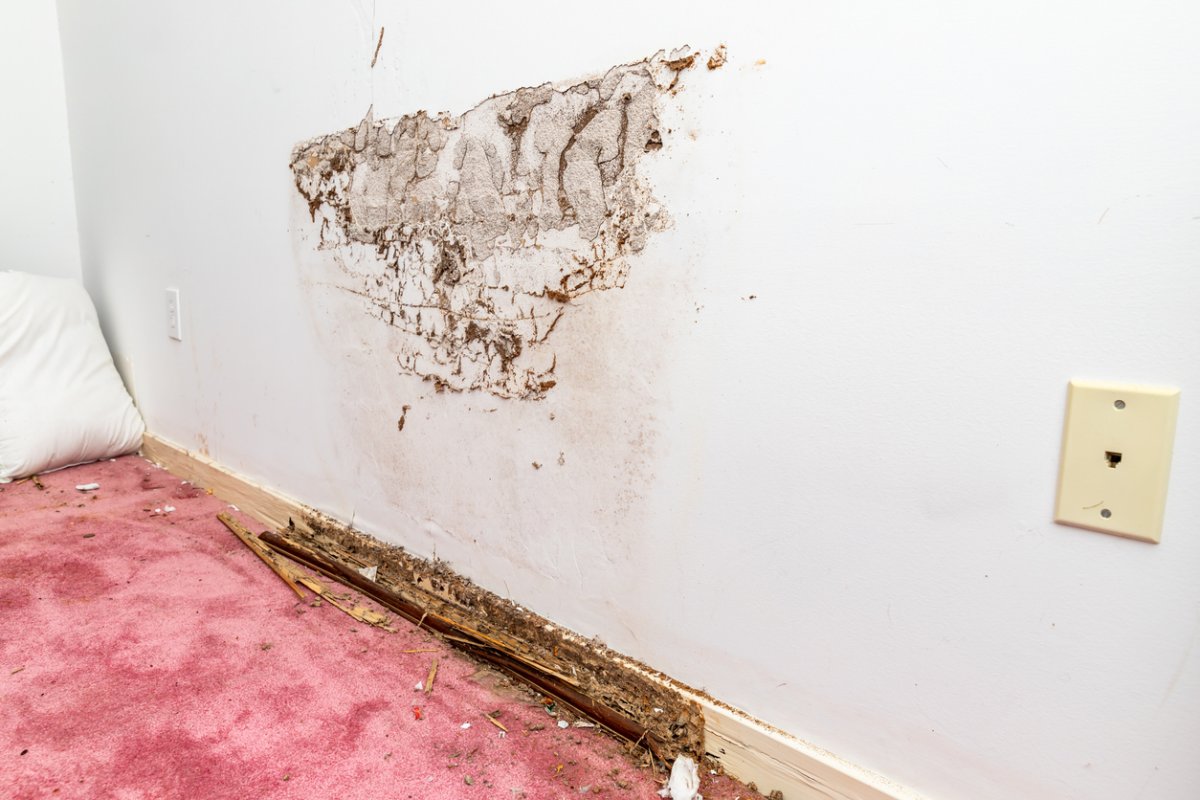 Wall and baseboard of house showing damage.