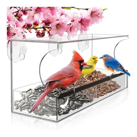  The Nature's Hangout Window Bird Feeder With Suction Cups with seed, birds, and flowers on a white background.