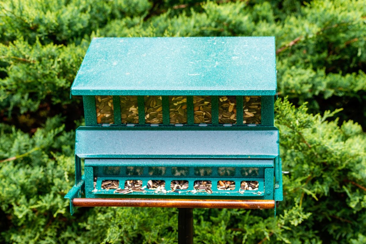 The WoodLink Heritage Farms Squirrel-Resistant Feeder filled with seed during testing.