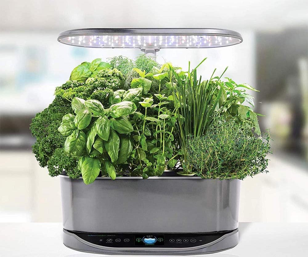 The Best Gift for a Plant Whisperer This Mother’s Day AeroGarden Bounty Elite