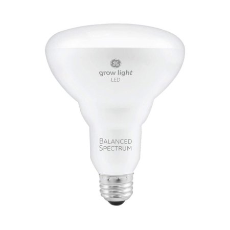  The GE Grow LED Light Bulb for Seeds and Greens on a white background.