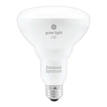  The GE 9W Balanced Light LED Grow Light Bulb on a white background.