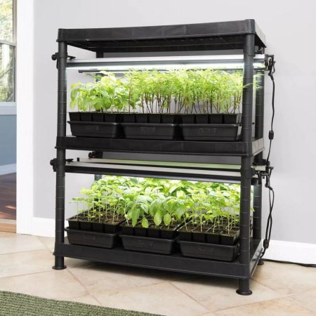  The Gardener’s Supply Company LED Stack-n-Grow Lights full of growing herbs.