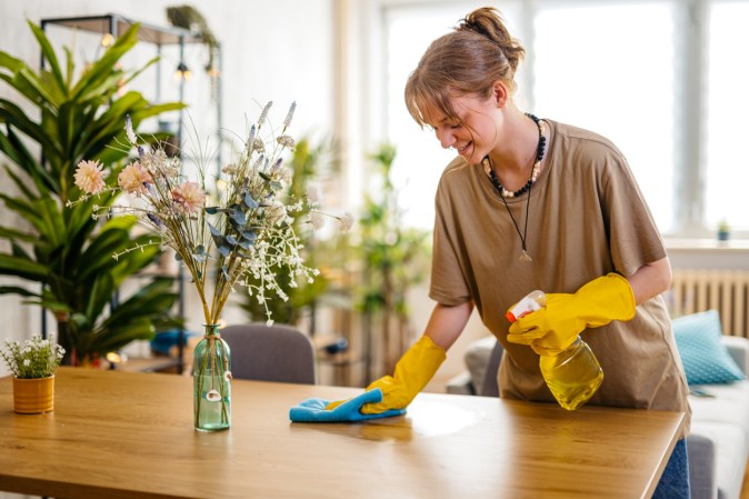 Tools the Bob Vila Team Swears By for Spring Cleaning