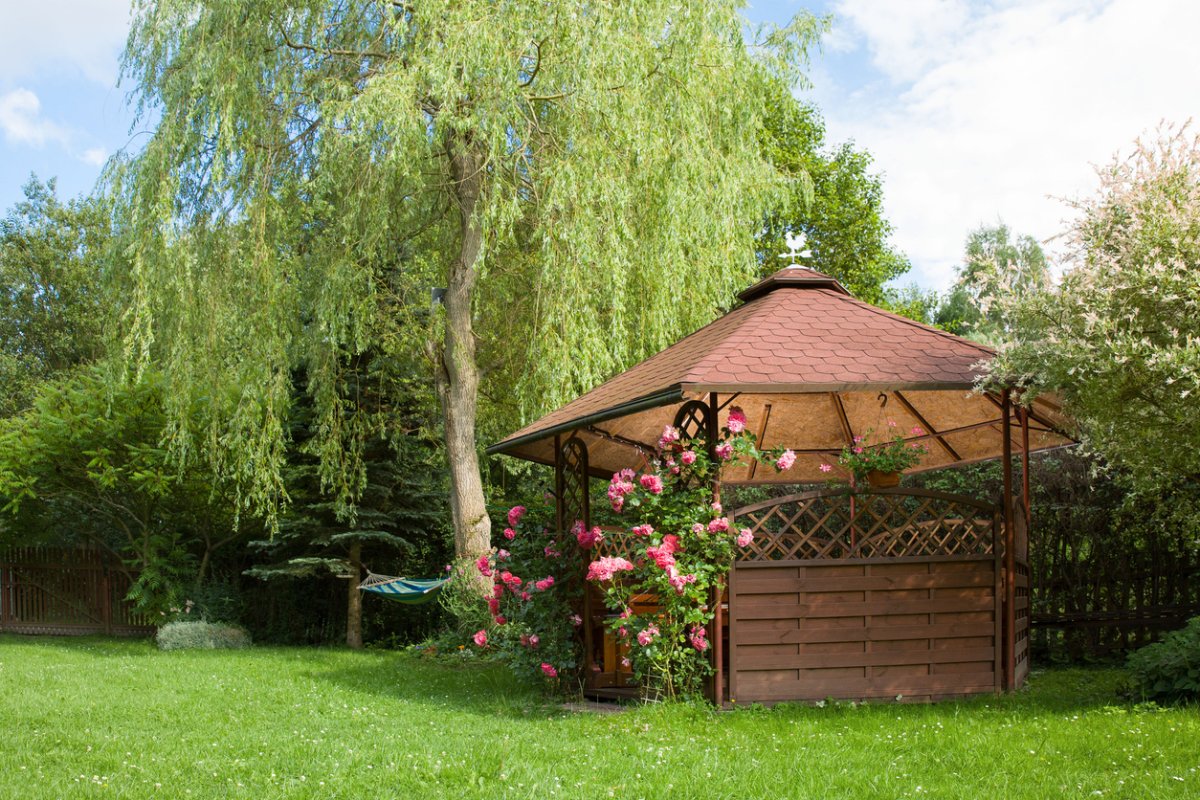 Outdoor wooden gazebo with roses and summer landscape background