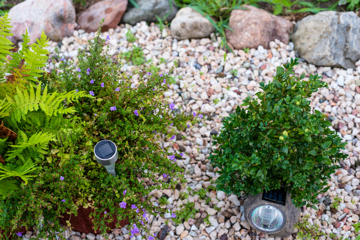 A rock garden featuring small pebbles, decorative plants and solar-powered lighting in the foreground and larger rocks in the background.