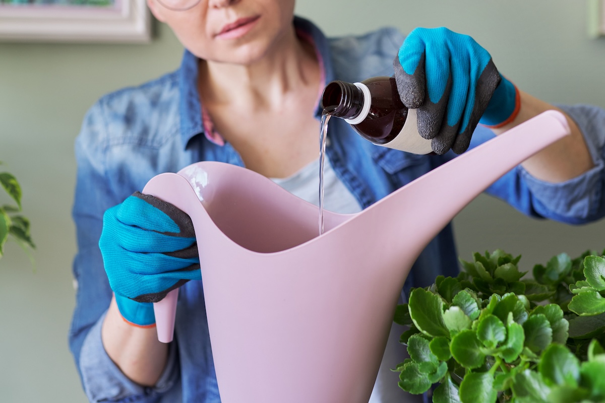 How to Use Hydrogen Peroxide for Plants