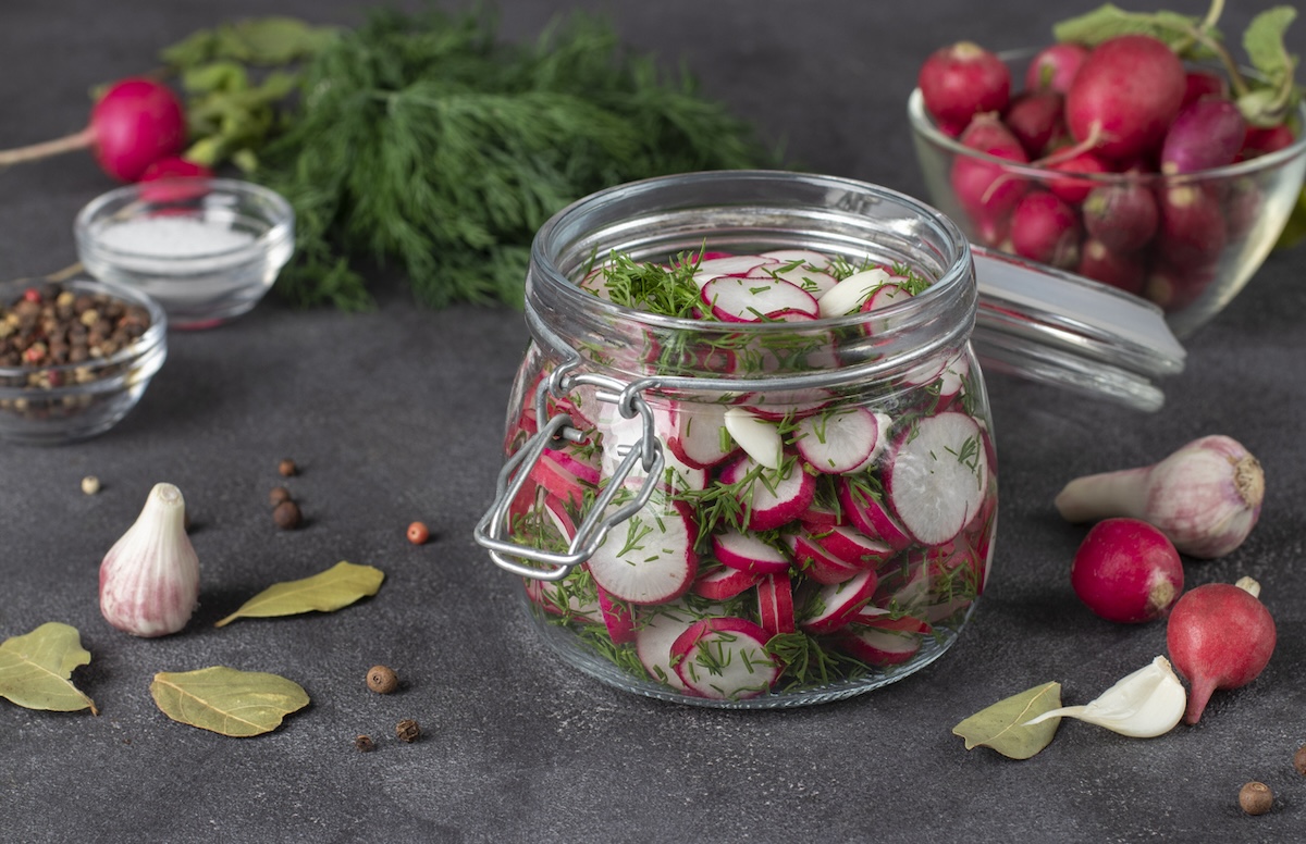 Jarred sliced radish with dill.