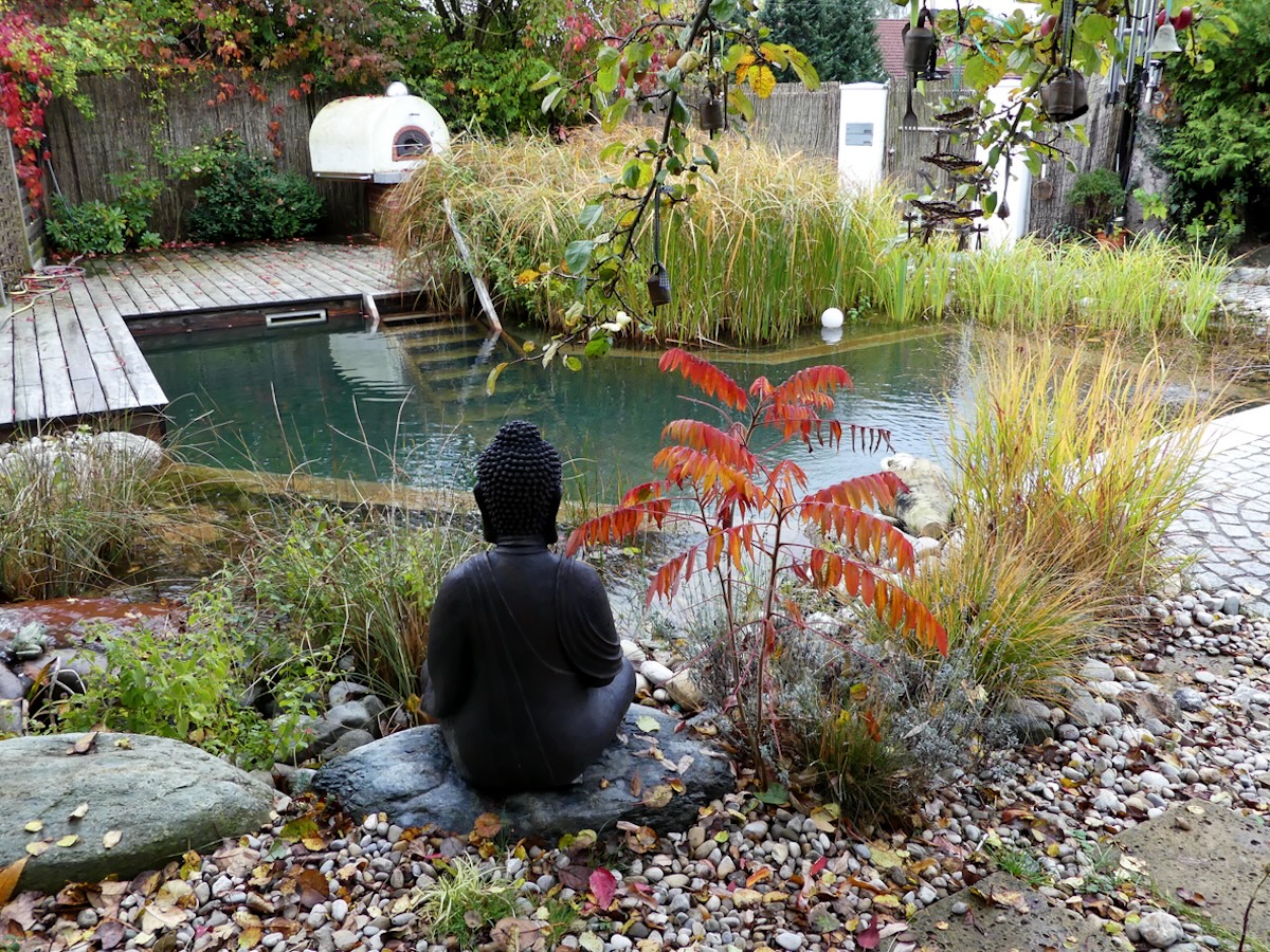 Natural swimming pool surrounded by plant life and rocks.