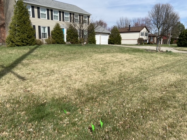 1 - front lawn before