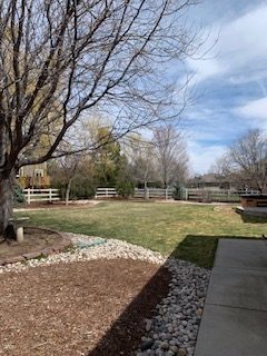 11 Backyard before treatment view from garden area, March 30