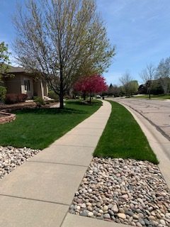 20 Front yard and strip after, May 2