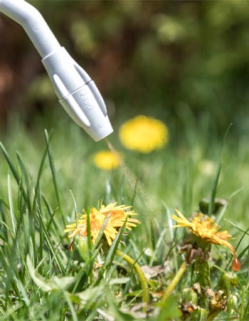 A close up of a product being sprayed on grass. 