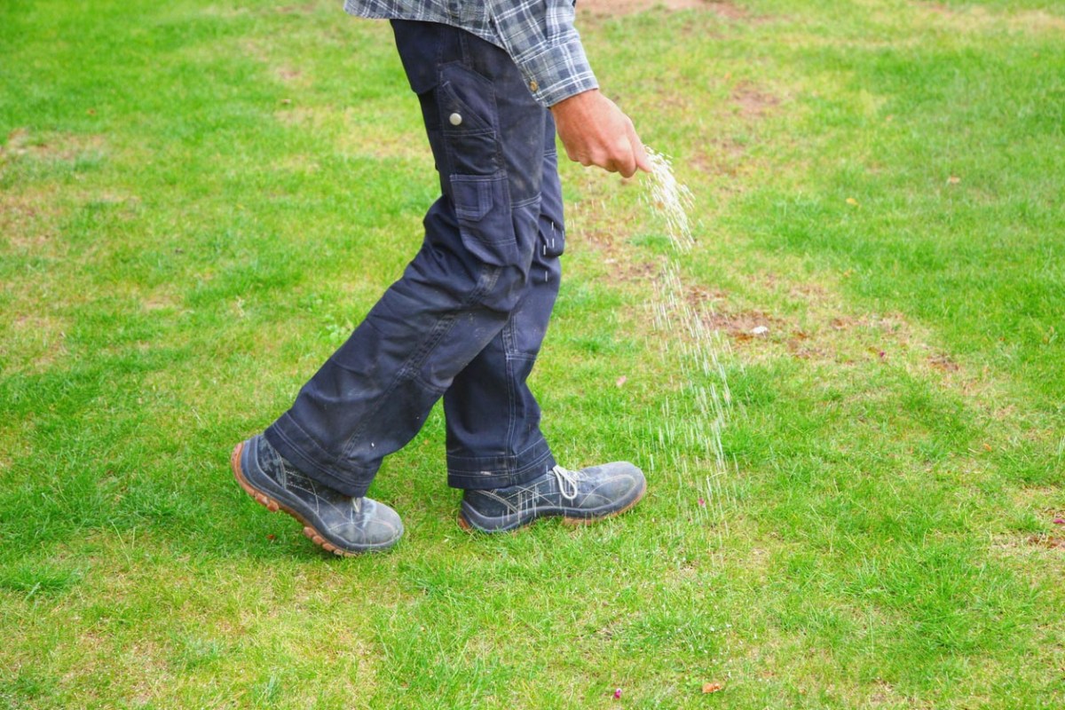 A close up of a person seeding a green lawn.