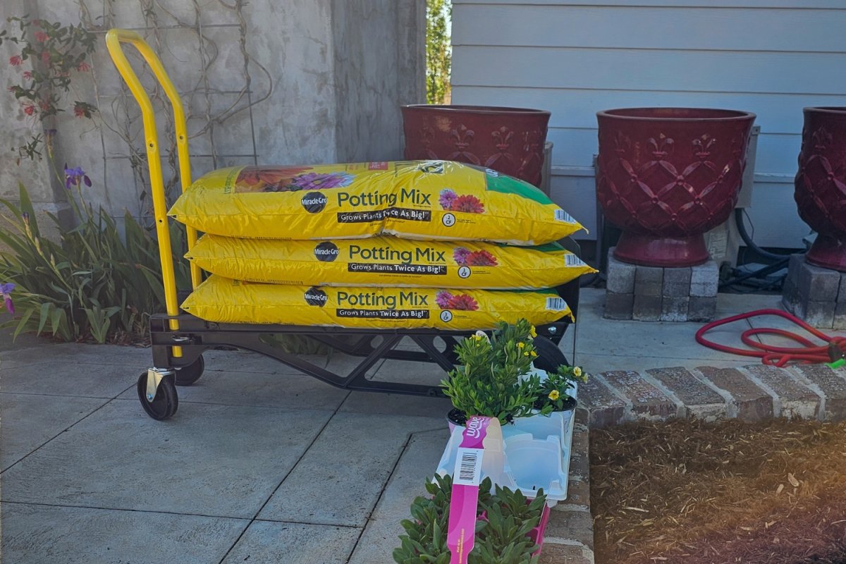 The Harper Convertible Hand Truck holding three big bags of potting soil during testing.