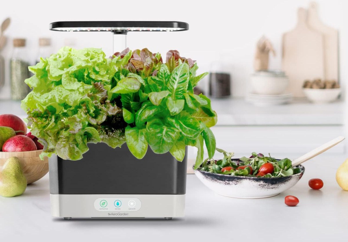 Gifts for People Who Wish They Had a Green Thumb Option AeroGarden Harvest