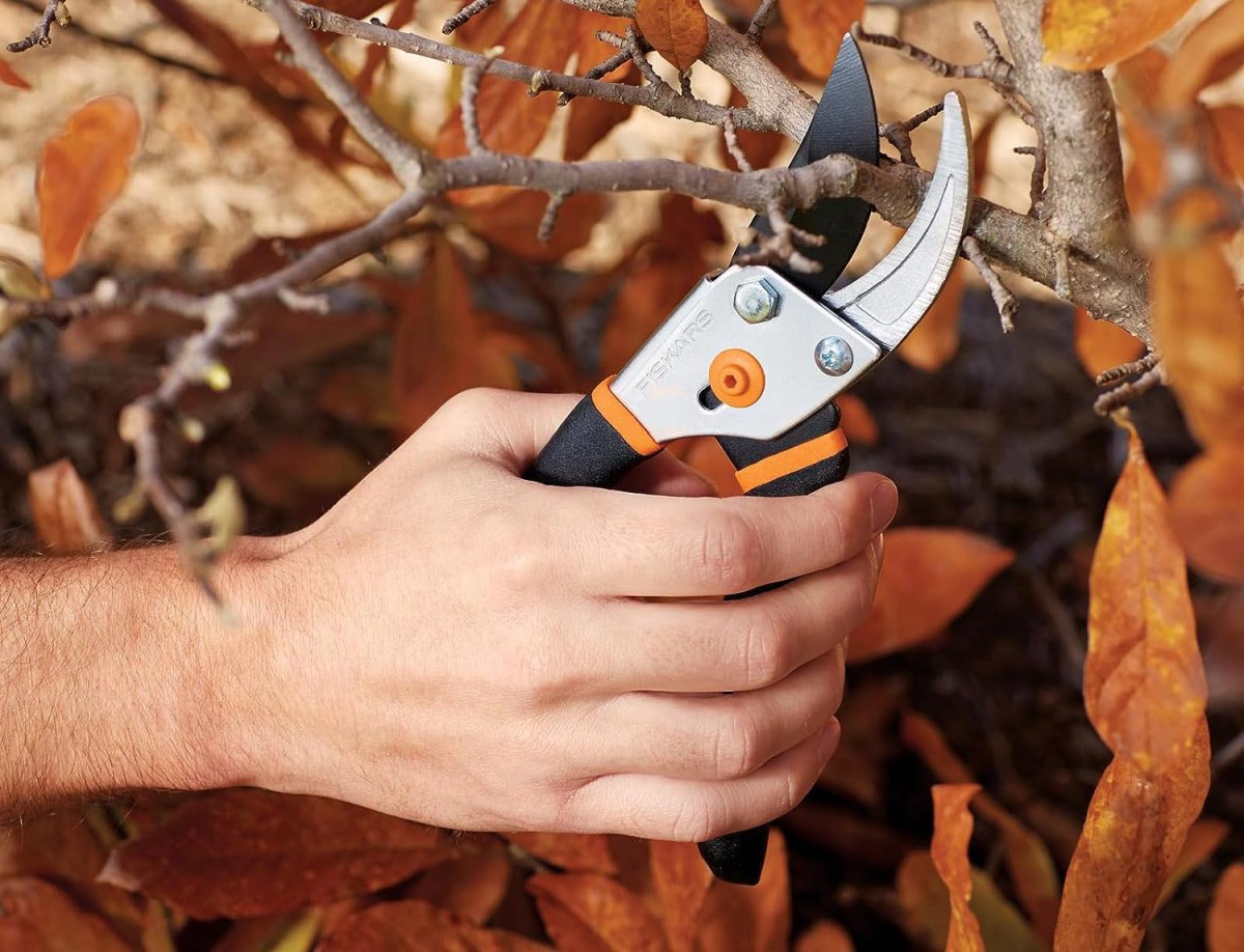 Gifts for People Who Wish They Had a Green Thumb Option Bypass Pruning Shears