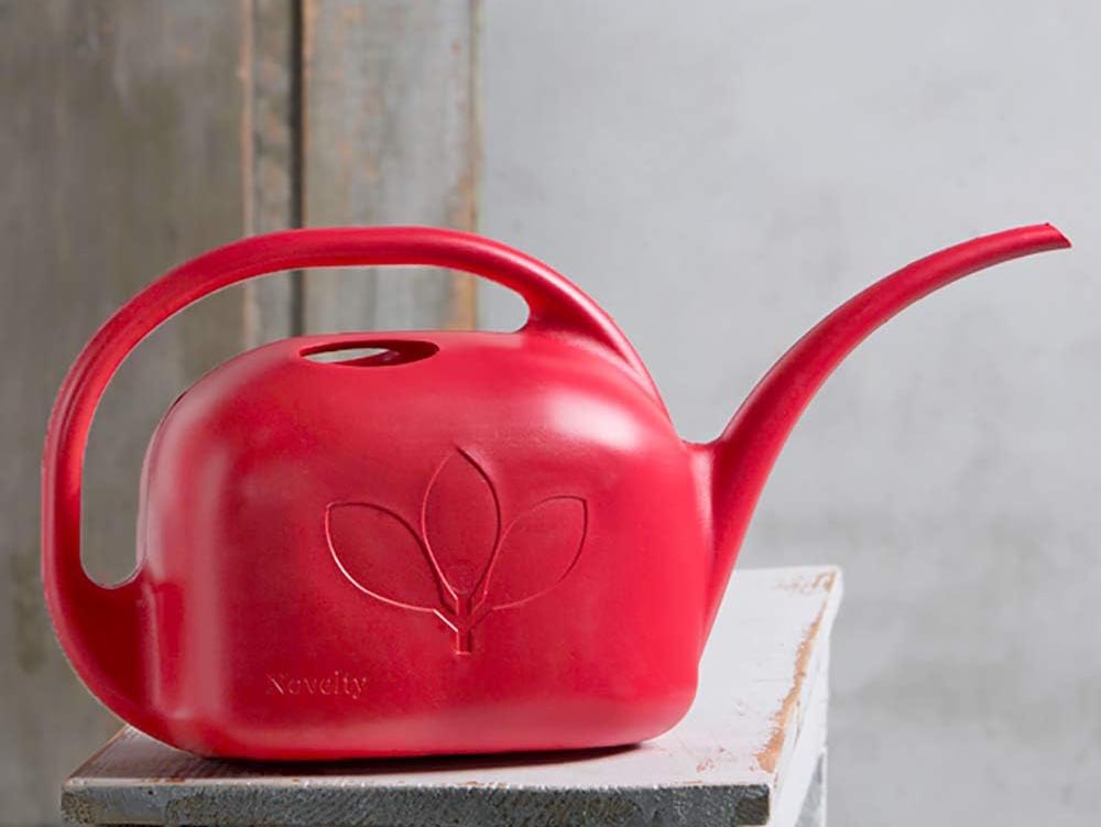 Gifts for People Who Wish They Had a Green Thumb Option Indoor Watering Can