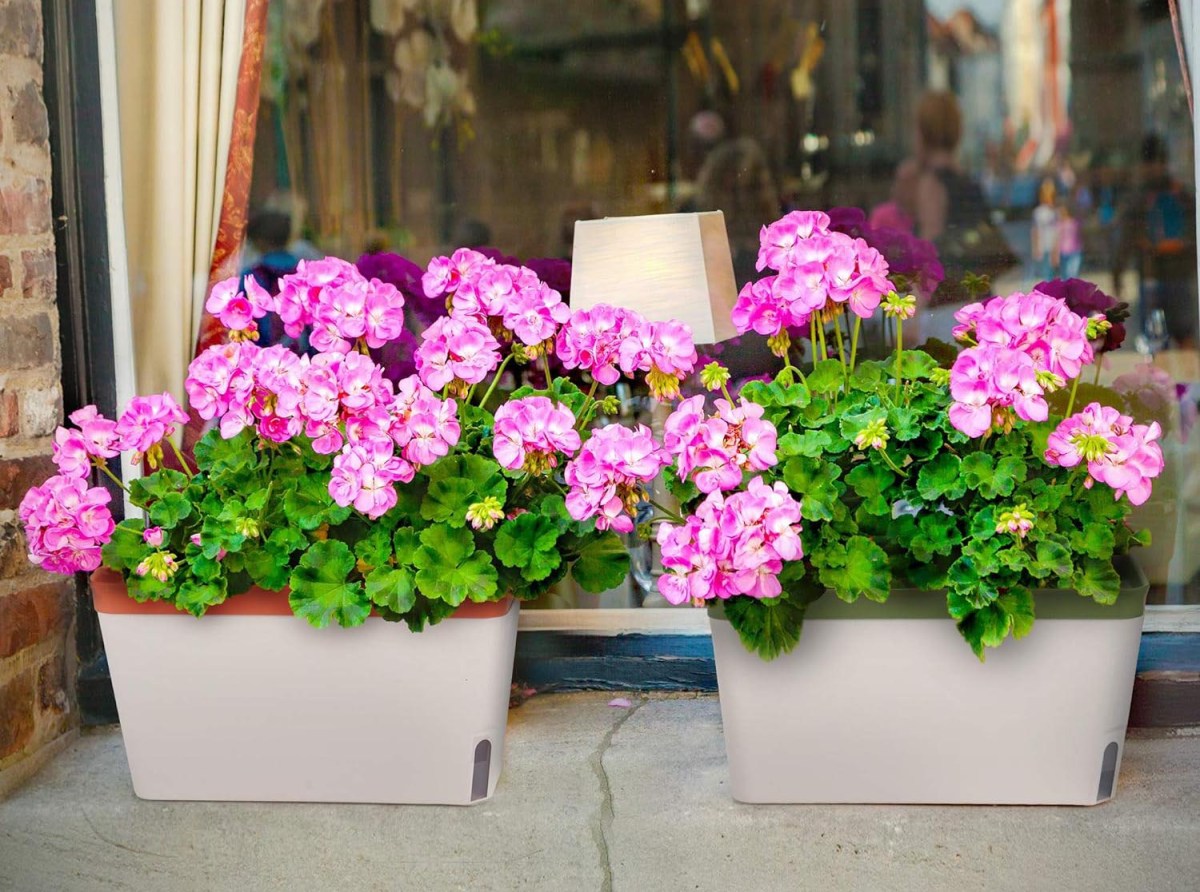 Gifts for People Who Wish They Had a Green Thumb Option Window Herb Planter Box
