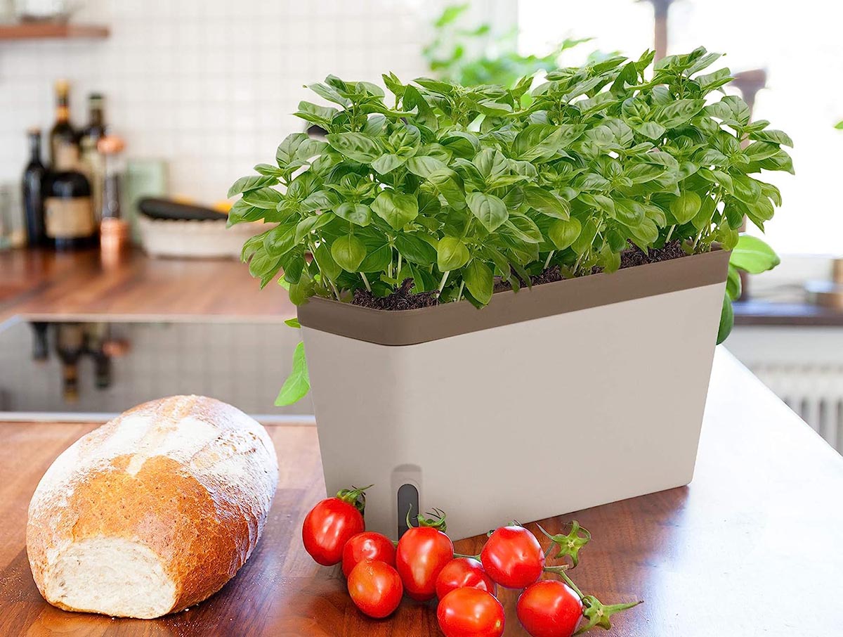 Gifts for People Who Wish They Had a Green Thumb Options