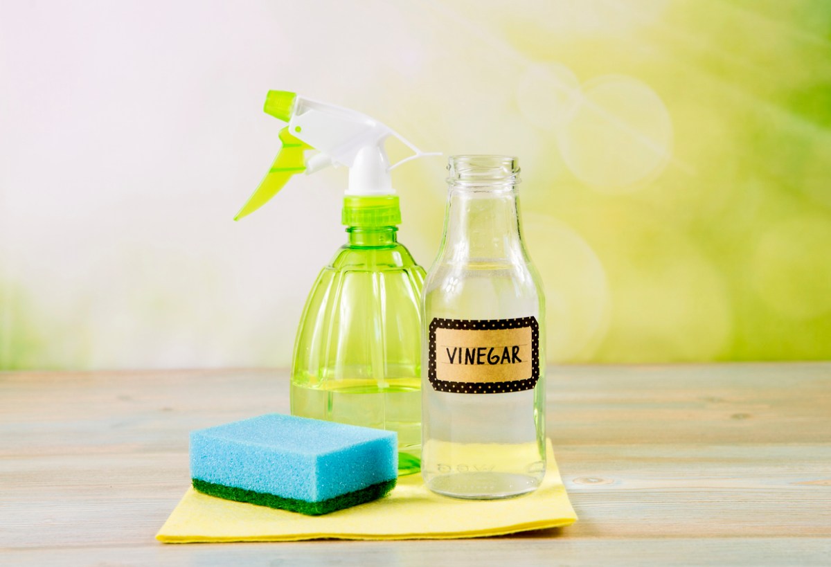 A sponge, labeled bottle of vinegar, and half-full green spray bottle sit on a wooden table in front of a green backdrop.