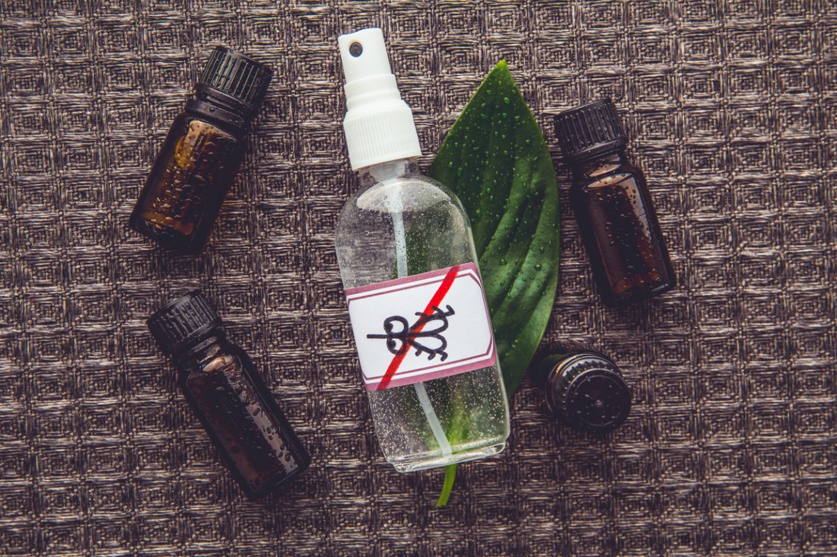 A small spray bottle of labeled DIY mosquito repellent lies on a flat textured surface next to empty essential oil bottles.