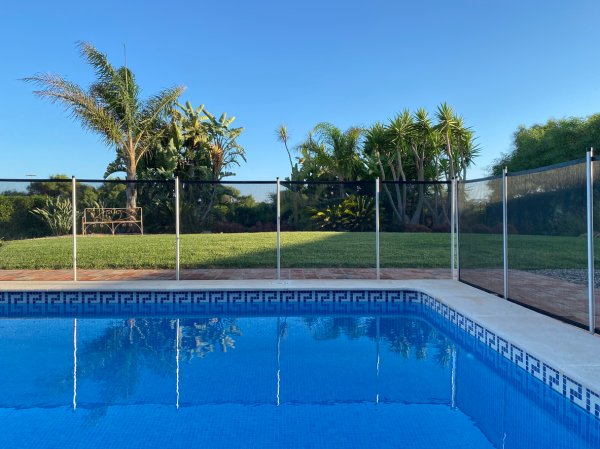 A photo of a blue pool against a lush and green background.